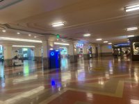 IMG_1483.jpg