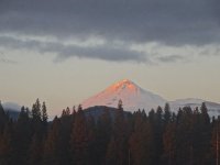 DSC00472-X2.jpg
