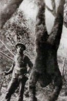 bigfoot.jpg
