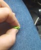 20170811_123034.jpg
