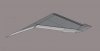 wing1.jpg