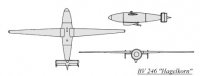 BV-246.jpg