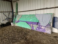 IMG_2575.jpeg