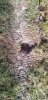 20190427_172634.jpg