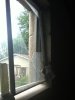 IMG_0120.jpg