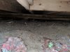 IMG_20190520_194651.jpg