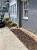IMG_2988.jpeg