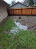 PXL_20210104_205413972.jpg