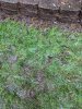 PXL_20210104_205320279.jpg