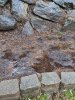 PXL_20210104_205303400.jpg