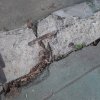 Footing Rebar.jpg