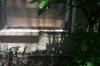 Window Sill.jpg