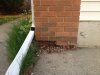 image-441390965.jpg