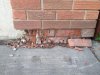image-3923245728.jpg