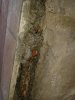 Wall crack.jpg