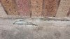 20160331_150313.jpg