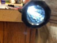 IMG_7249.jpg