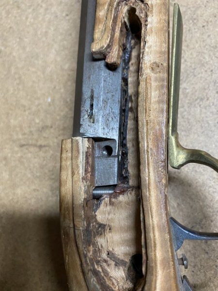 WMLarge_45cal (7).JPG WMLarge_45cal (7).JPG