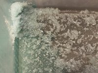 17E38810-62BE-48CE-AD32-F2AF9366E184.jpeg