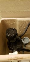 20200728_233039.jpg