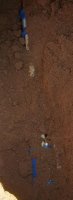 20200910_172416.jpg