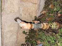pipe2.jpg