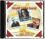 Quadro 2 - David Ceclia Band Front BIG.jpg