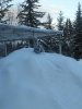 rabbit king of hill2.jpg
