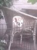 IMG-20131103-WA0001.jpg