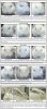 Rabbit_Grimace_Scale - Copy.jpg