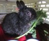 Pipp-May 21, 2014.jpg