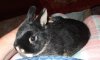 DSCF4471.JPG