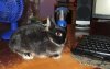 DSCF4472.JPG