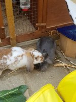 20180904_155653.jpeg