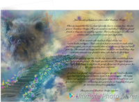 Photo_1530163646280.png