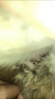 F7BE36D9-9AC0-430A-84A3-9190843F50F6.png