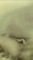 2C2D0291-CF4B-4F81-9B0C-00CA73DE0682.png