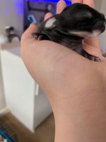 IMG_2764.jpeg