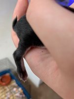 IMG_2766.jpeg