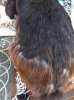 ImageUploadedByRabbit Forum1379203701.420764.jpg