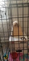20191001_092521.jpeg