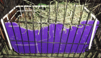 manger2.gif