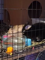 20191030_180601.jpeg