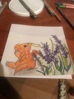IMG_6182.jpg