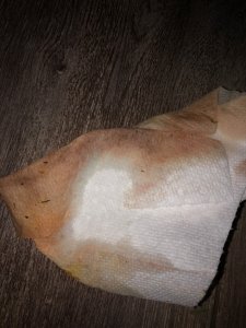 Casper pee.jpg