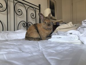 IMG_1167.JPG