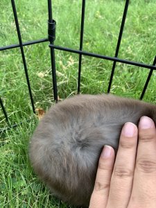 9ECDC09B-F2AA-4358-A721-2417ECBE67EA.jpeg