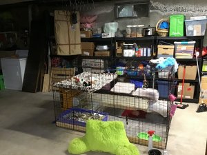 580CDC95-6F0F-4470-9E39-9029F3A7ADE1.jpeg