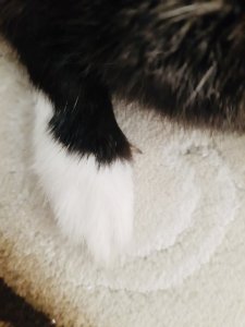 02E1B47C-9C6B-4719-A38D-7331055E78FE.jpeg