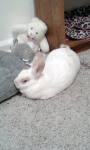 20200823_223735.jpg